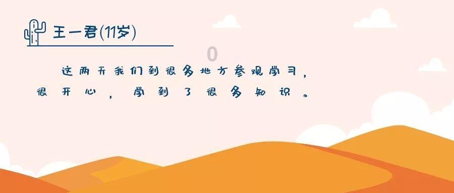 失踪的书籍